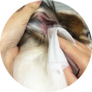日本制 貓狗用 耳朶 清潔紙 一包30入