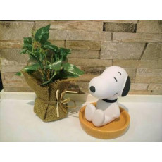 Snoopy / My Melody 天然加濕器