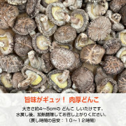 日本大分県產 原木栽培 肉厚乾椎茸 100g
