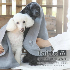 日本直送 - Taitto 寵物用 超級水 速乾 毛巾