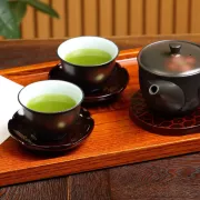 日本製造 - 古賀製茶本舗 玉露八女綠茶 5g x 50入